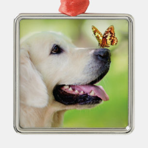 Labrador And Butterfly Throw Pillow Metal Ornament