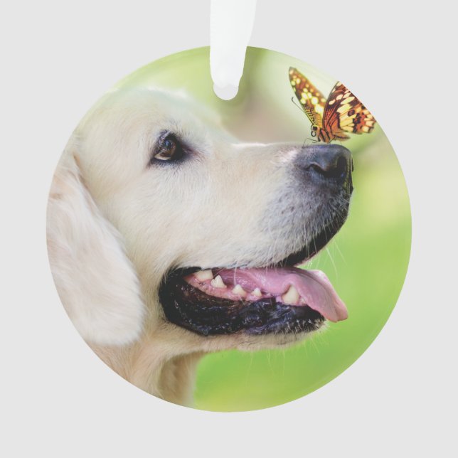 Labrador And Butterfly Throw Pillow Ornament (Front)