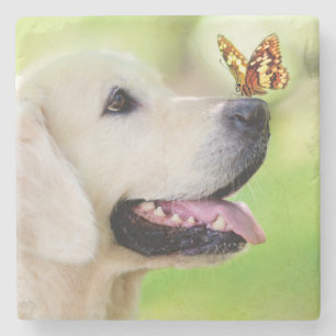 Labrador And Butterfly Throw Pillow Stone Coaster