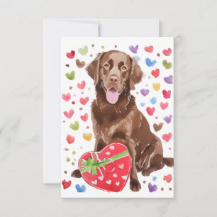 Labrador au chocolat avec carte d'amour du coeur