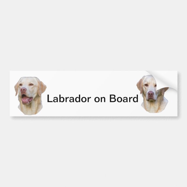 labrador bumper sticker (Front)