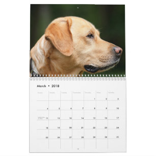 Labrador Calender Calendar