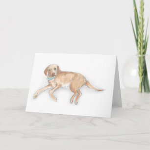 Labrador card