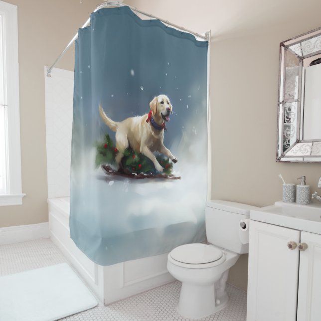 Labrador Christmas snow winter (In Situ)