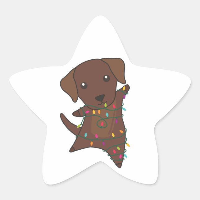 Labrador Christmas Snow Winter Animals Dogs Star S Star Sticker (Front)