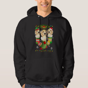 Labrador Christmas Socks Tree Light Xmas Santa Hat Hoodie