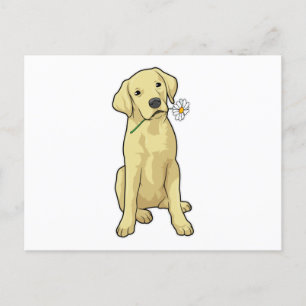 Labrador Daisy Postcard