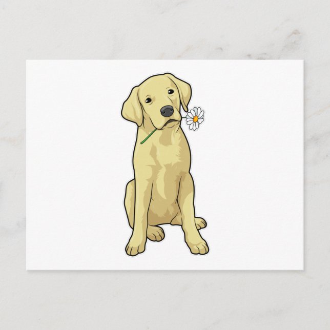 Labrador Daisy Postcard (Front)
