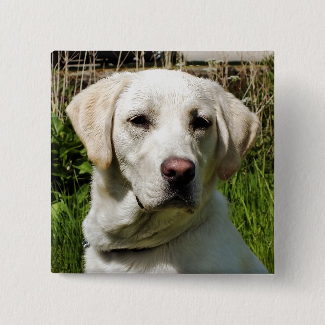 LABRADOR DOG 2 INCH SQUARE BUTTON (Front)