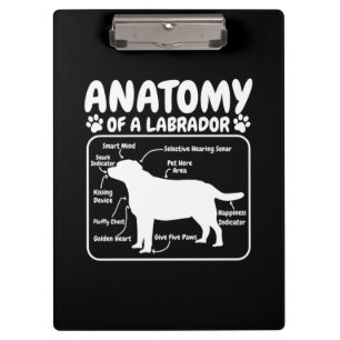 Labrador Dog Anatomy Clipboard
