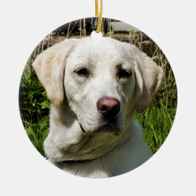 LABRADOR DOG CERAMIC ORNAMENT (Front)