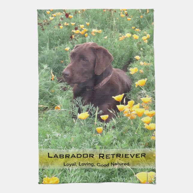 Labrador Dog in California Poppy Patch Photography Kitchen Towel (Vertical)