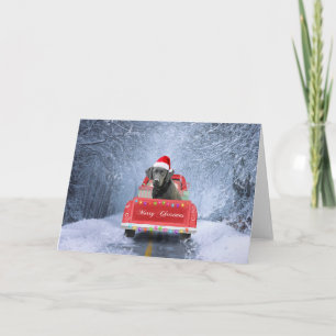 Labrador Dog in Snow sitting in Christmas Truck Card