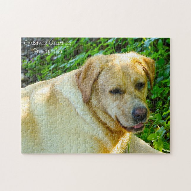 Labrador Dog. Jigsaw Puzzle (Horizontal)