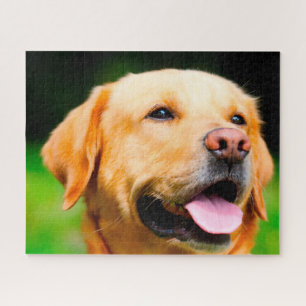 Labrador Dog. Jigsaw Puzzle