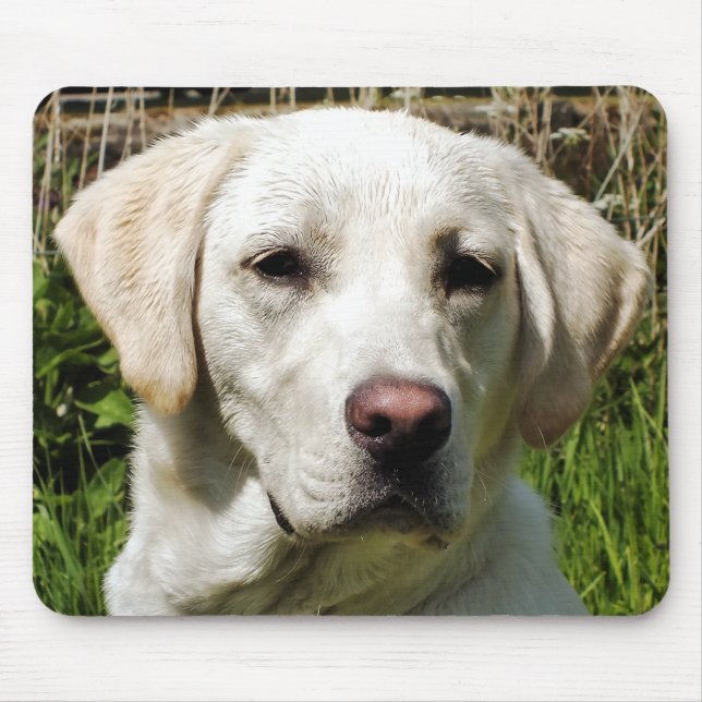 LABRADOR DOG MOUSE PAD (Front)