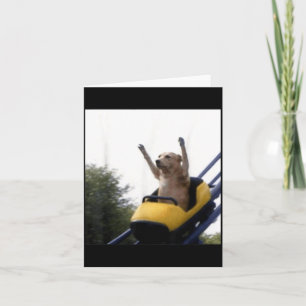 Labrador Dog Roller Coaster Funny Meme Card