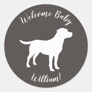 Labrador Dog Theme Baby Shower Gender Neutral Classic Round Sticker