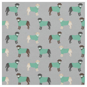 Labrador dogs in scrubs grey fabric