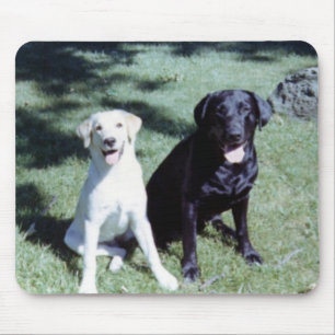 Labrador Dogs Mouse Pad