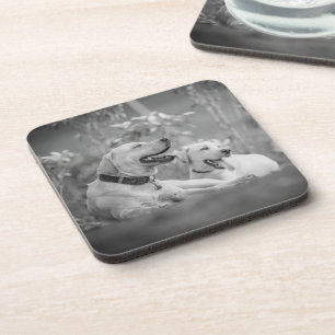 LABRADOR DOGS RELAXING COASTER