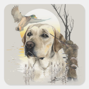 Labrador, duck hunting  square sticker