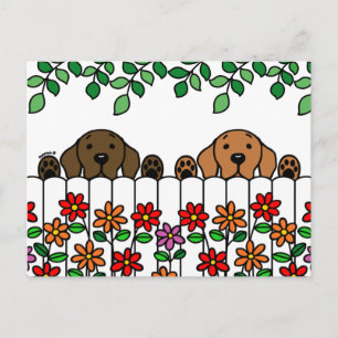 Labrador Duo Watching You Postcard