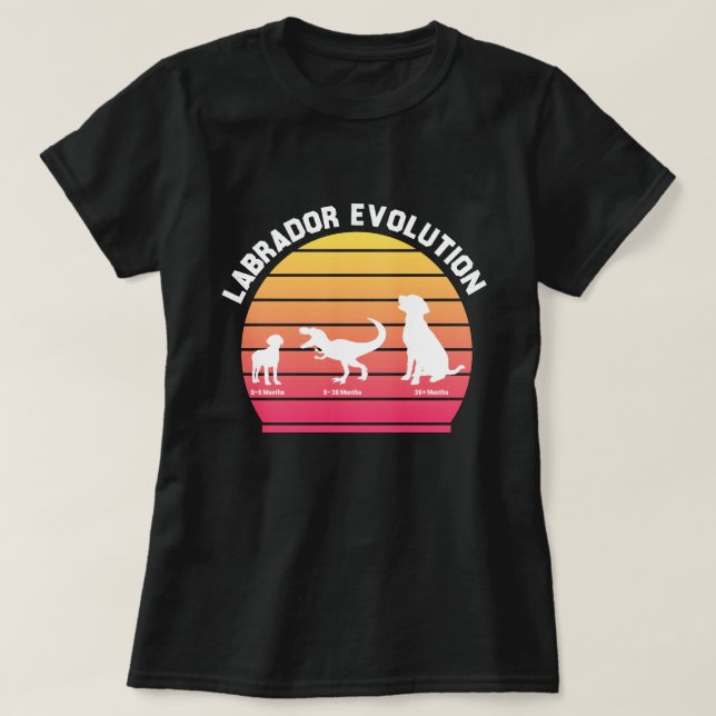 Labrador Evolution Funny White Silhouette Sunset  T-Shirt (Design Front)