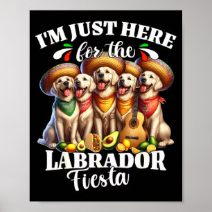 Labrador fiesta here for cinco de mayo labrador  poster