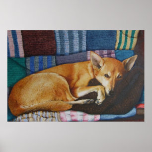 labrador german shepherd cross breed dog portrait poster