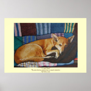 labrador german shepherd cross breed dog portrait poster