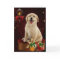 Labrador Golden Retriever Christmas Cards