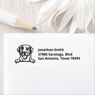 LABRADOR   Image on Return Address