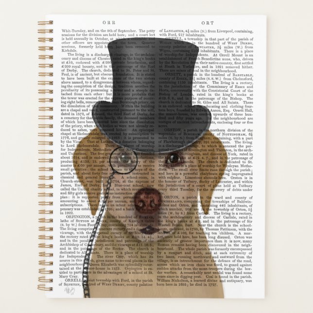 Labrador jaune, Hound officiel et Casquette (Devant)