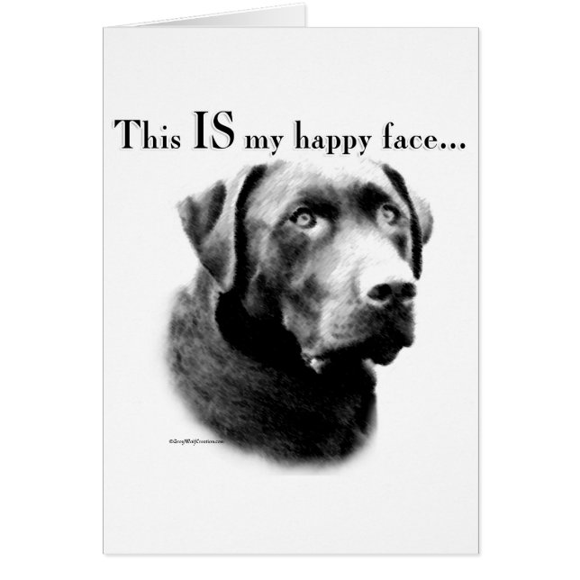 Labrador Joyeux visage (Devant)