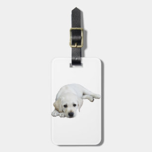 Labrador Looking Upwards Luggage Tag