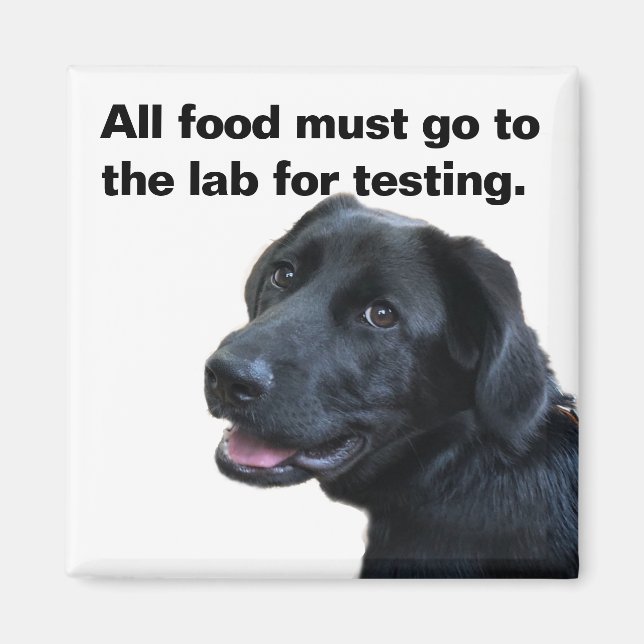 Labrador Love Magnet (Front)
