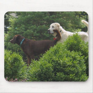 Labrador mouse pad
