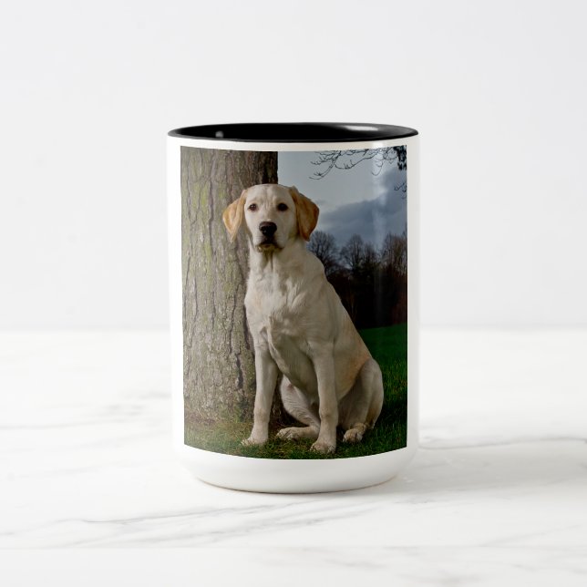 Labrador Mug (Center)