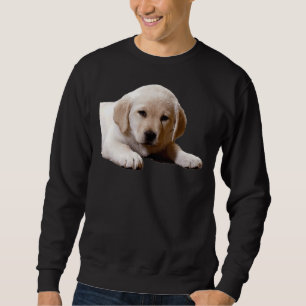 Labrador Nap Time Sweatshirt