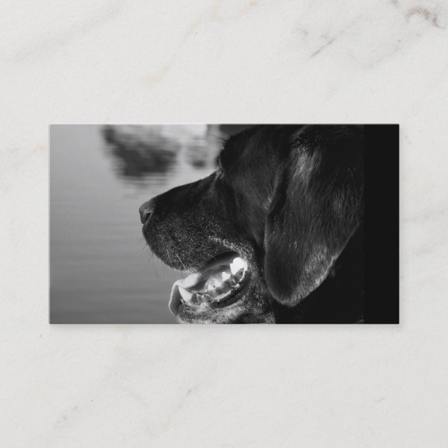 LABRADOR NOIR - modèle de carte de visite (Devant)