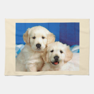 Labrador puppies kitchen towel