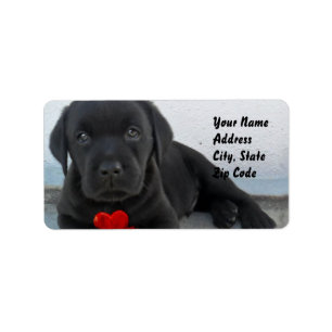 Labrador puppy address labels