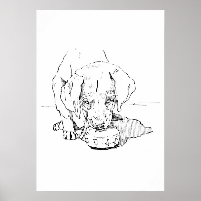 Labrador Puppy Art, Minimalist Drawing Poster (Front)