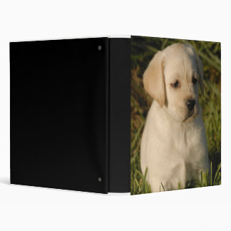 Labrador Puppy Binder