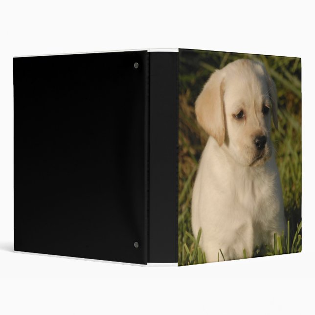 Labrador Puppy Binder (Background)
