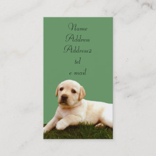 Labrador puppy business cards