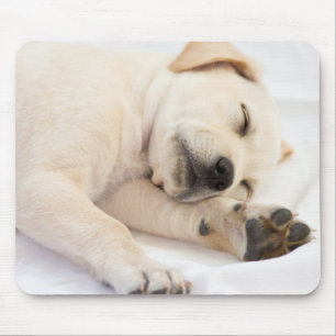 Labrador puppy mouse pad