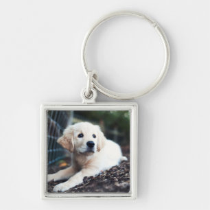 Labrador Puppy Playing In The Garden Keychain