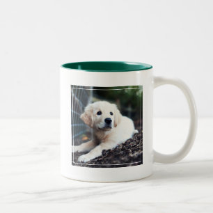 Labrador Puppy Playing In The Garden Two-Tone Coffee Mug